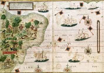 Brazylia z „Atlasu Millera” Pedro Reinela, c.1519 (szczegóły w 199955)